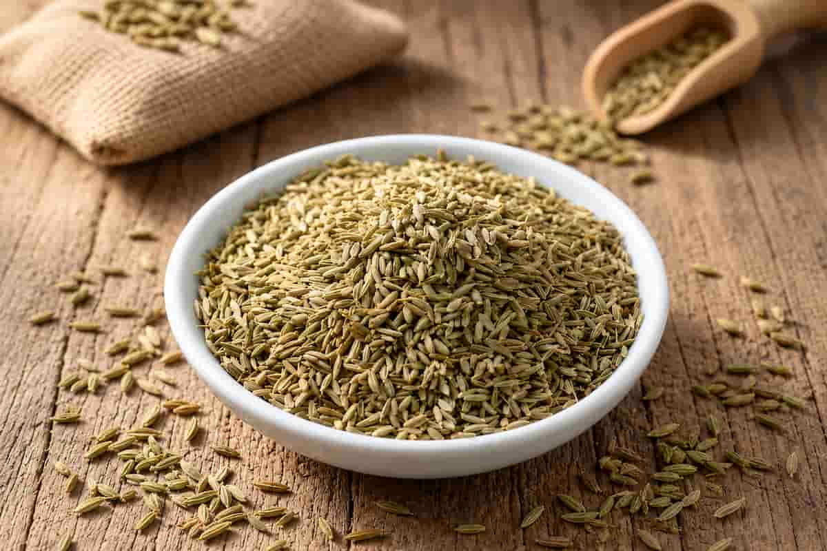 زیره سبز مشهد با دانه های مرغوب و خوش عطر
